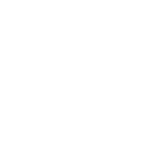Amy Lingerie